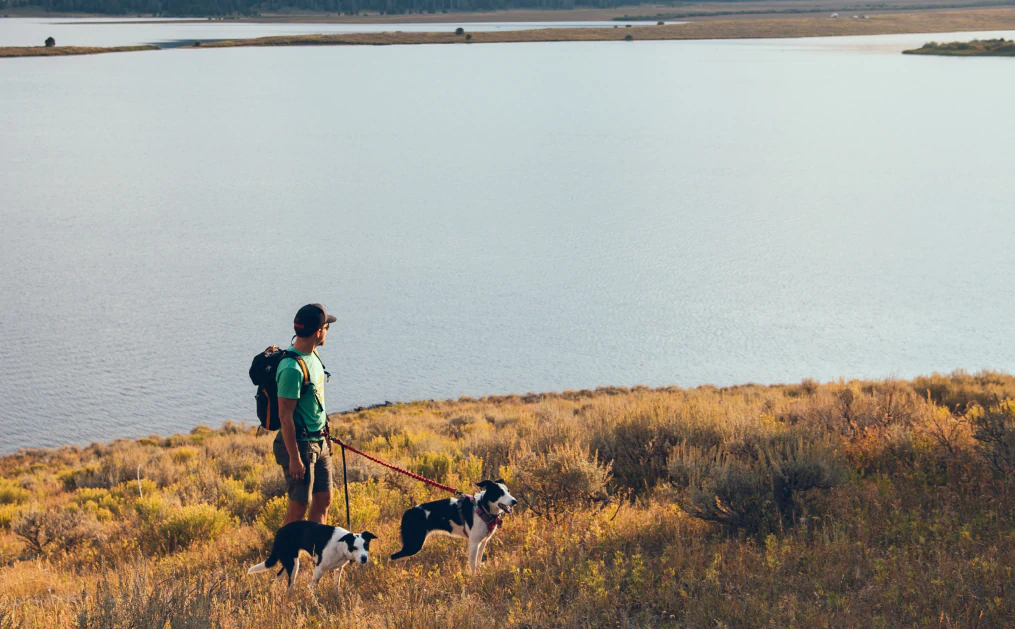 About_Us_Nutrition_Support A person with a backpack stands on a grassy hill near a lake, holding leashes for two black and white dogs as they look out over the water.