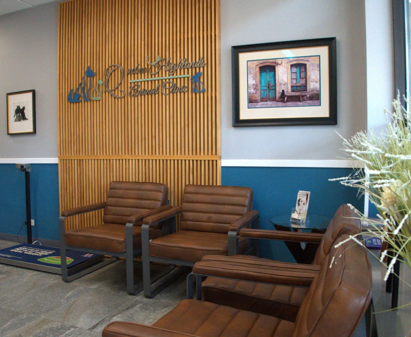 A waiting area with brown leather chairs, a wooden slat accent wall, framed photos, a side table with magazines, and a decorative plant in the foreground. The area is neat and modern.