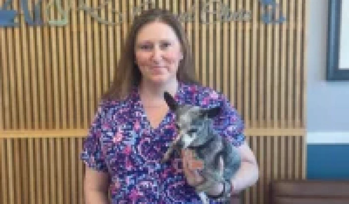 A woman in a purple patterned top holds a small gray dog. She stands in front of a wooden slat wall with a partial logo and sign visible behind her.