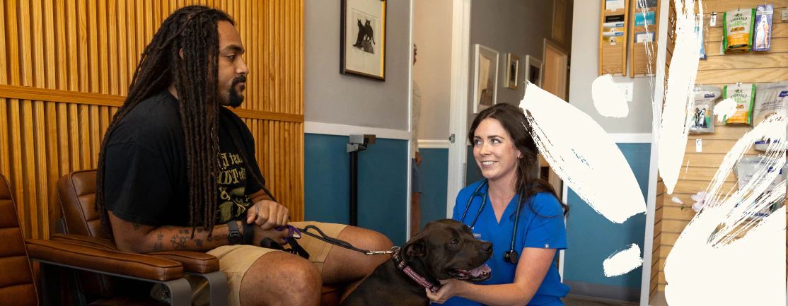 Desktop_Services_Supporting_Long A man sits with his dog in a clinic while a veterinarian in blue scrubs kneels beside them, smiling and petting the dog. White paint streaks are visible on the right side of the image.