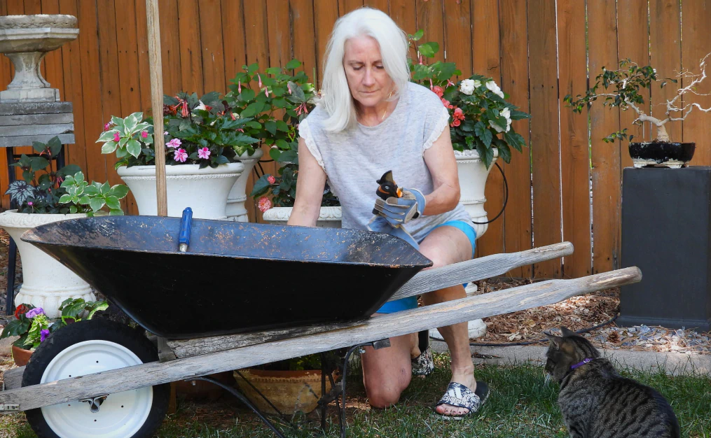 Desktop_About_Us_Nutrition_Support A woman with white hair kneels by a wheelbarrow in a garden, holding a small black kitten. Potted flowers surround her, and a tabby cat sits nearby on the grass.