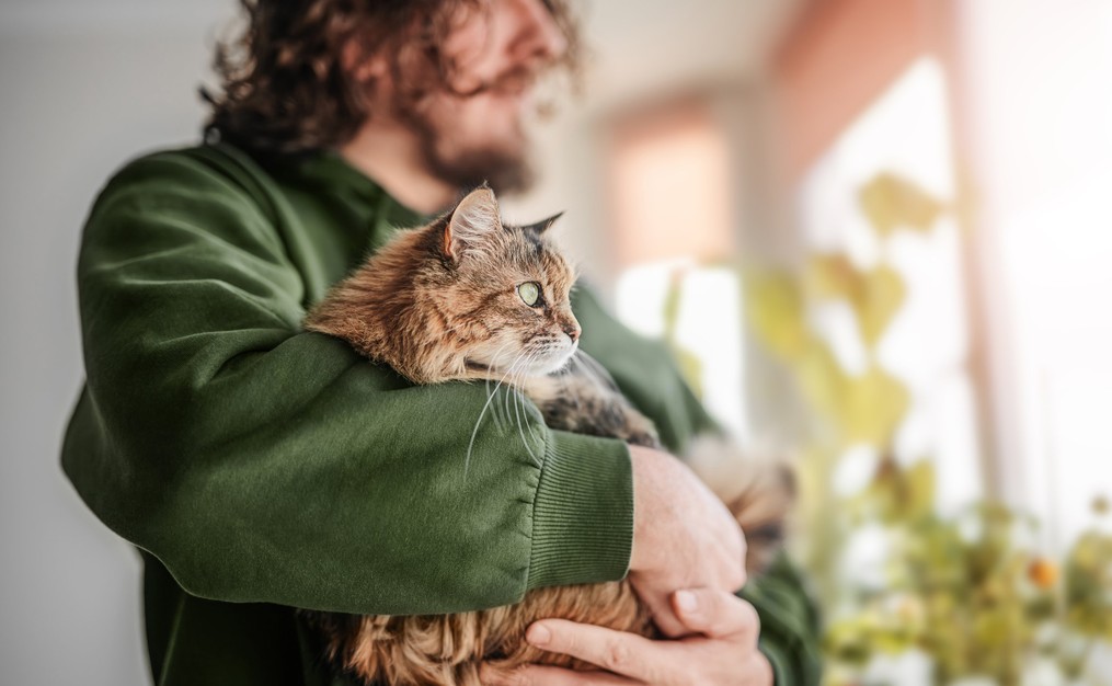 AdobeStock_1003720194_subservice-desktop_1015x626 Person holding their cat looking at the window in Highlands Ranch, CO